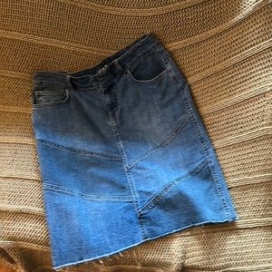 Style & Co denim skirt